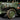 Mace Vintage Army Jeep Model theartarium