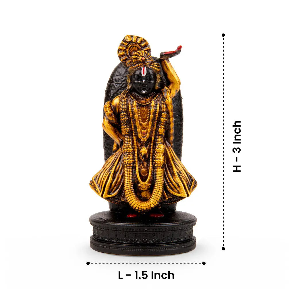 Shrinath Ji Car Dashboard Idol