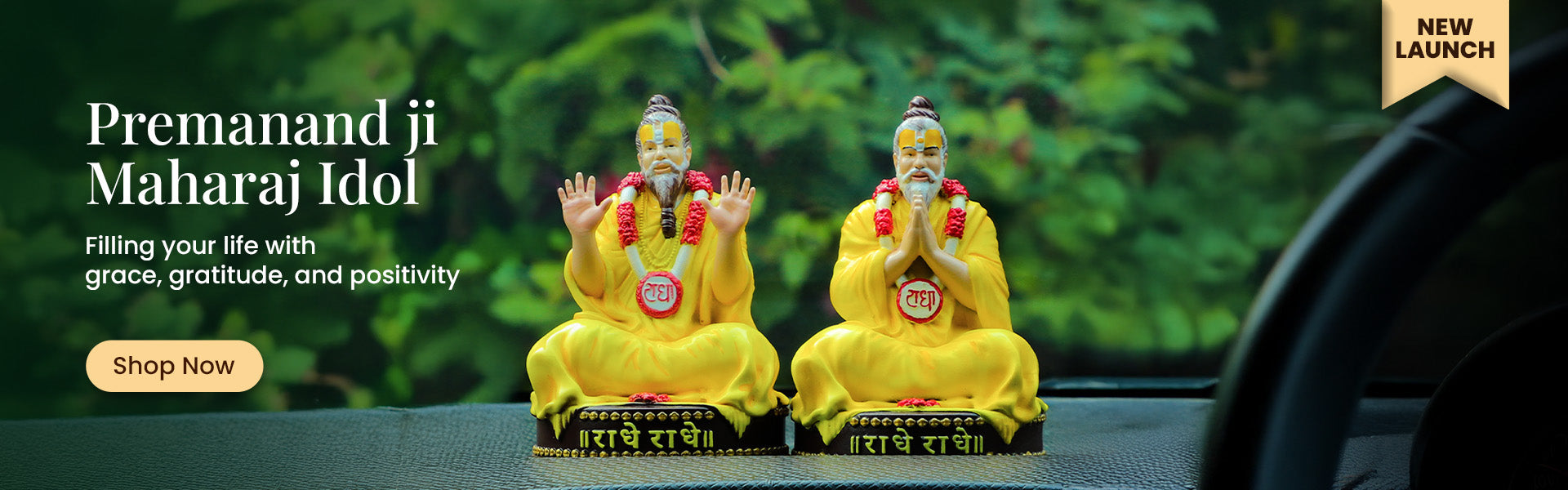 Premanand Ji maharaj