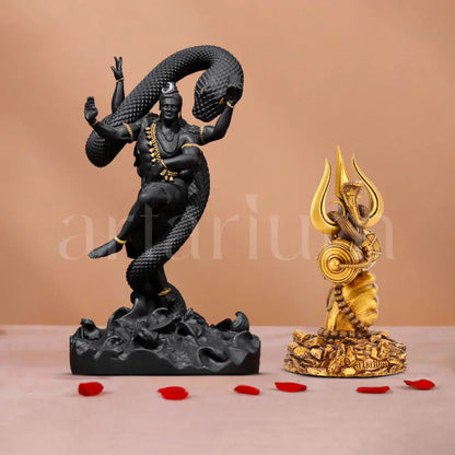 Mystical Shiva & Shiv Trishul Idols Set