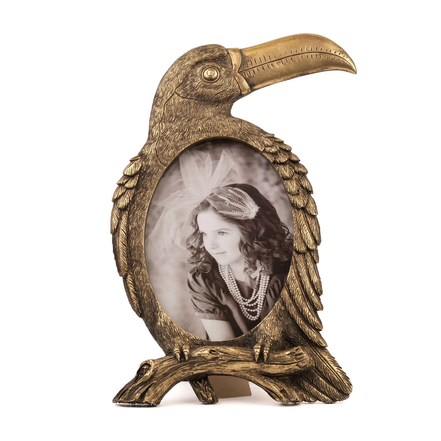 Golden Toucan - Antique Bird Frame