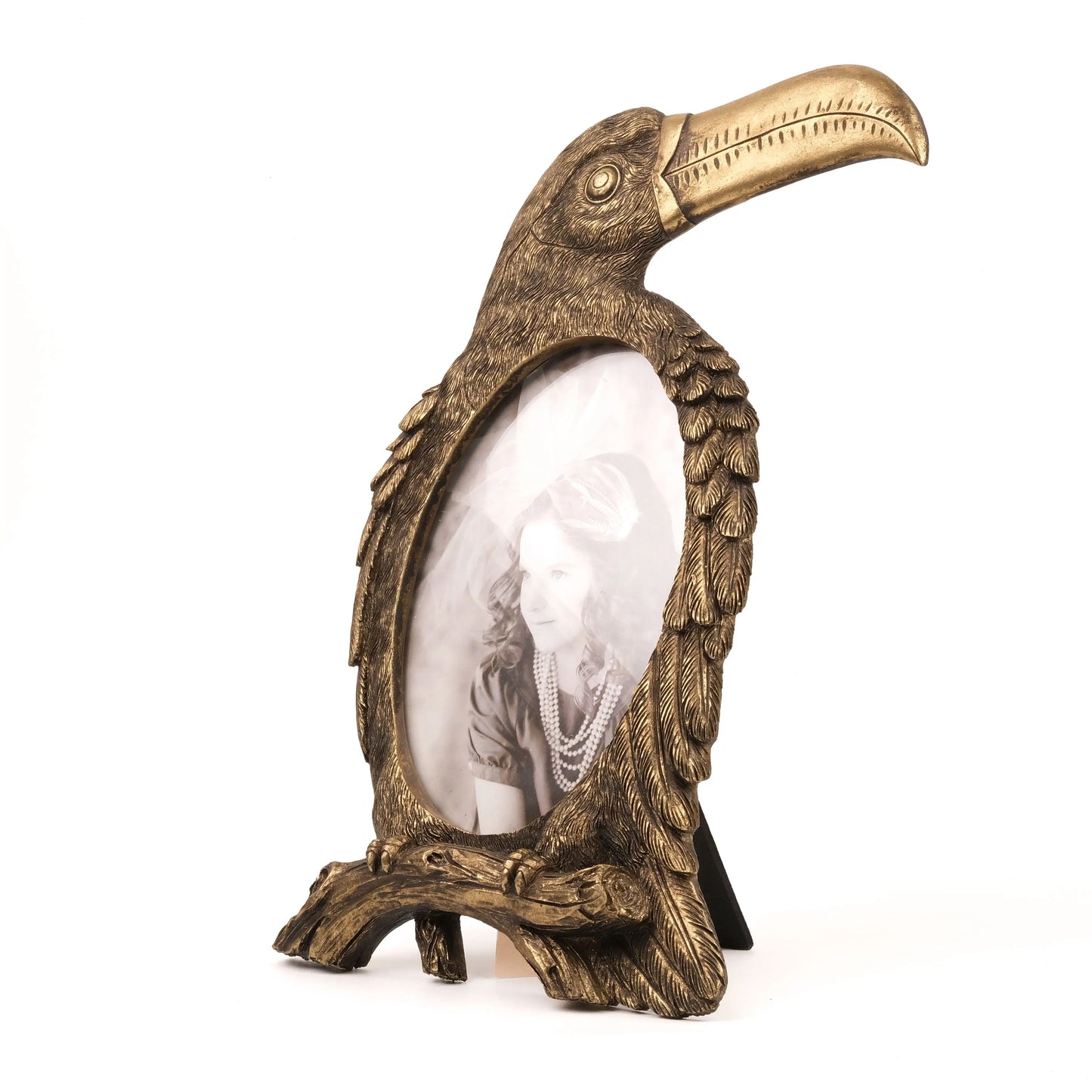 Golden Toucan - Antique Bird Frame