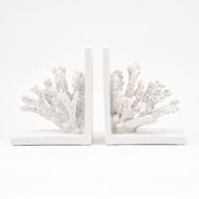 Whispers of the Reef - Coral Bookends