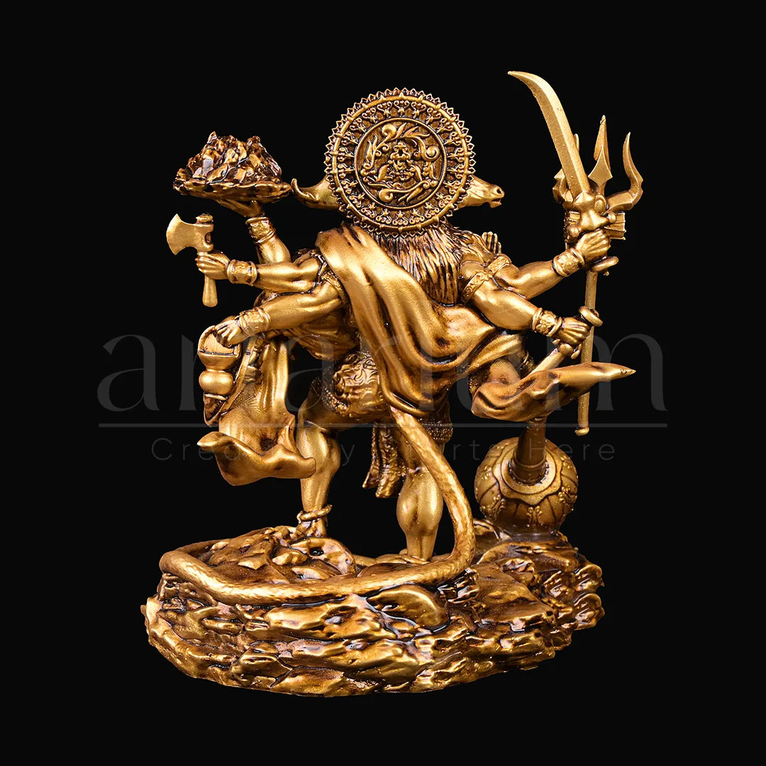 hanuman idol from back 