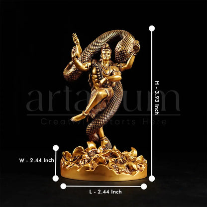 Mystical Lord Shiva Car Dashboard theartarium