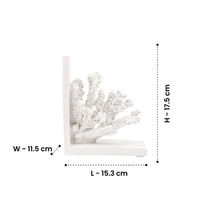 Whispers of the Reef - Coral Bookends
