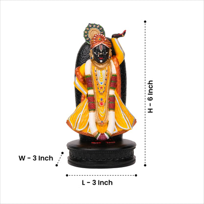 Shrinathji Murti