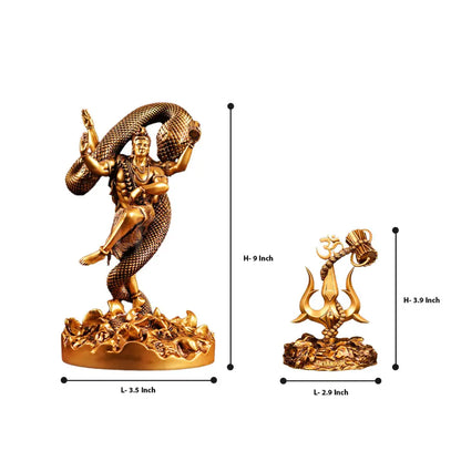Mystical Shiva (9 Inch) & Lord Shiva Trishul with Damru Idols Set