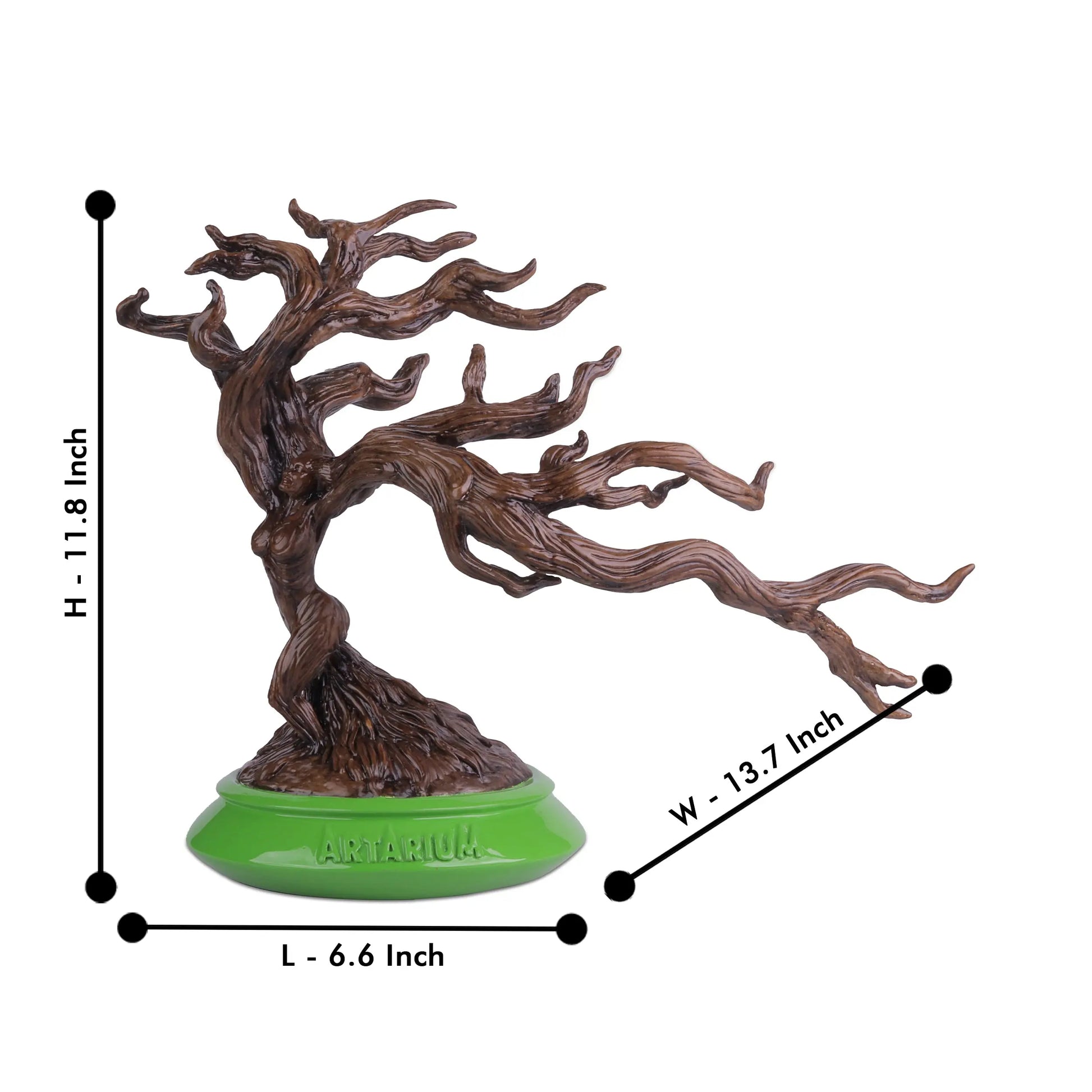 Bonsai Tree theartarium