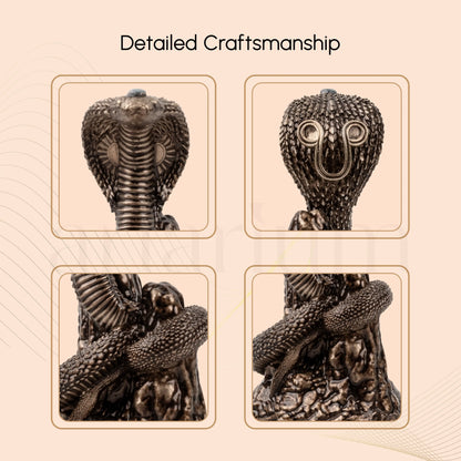 Naag Roop Gogaji Idol