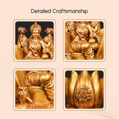 Padma Laxmi Car Dashboard