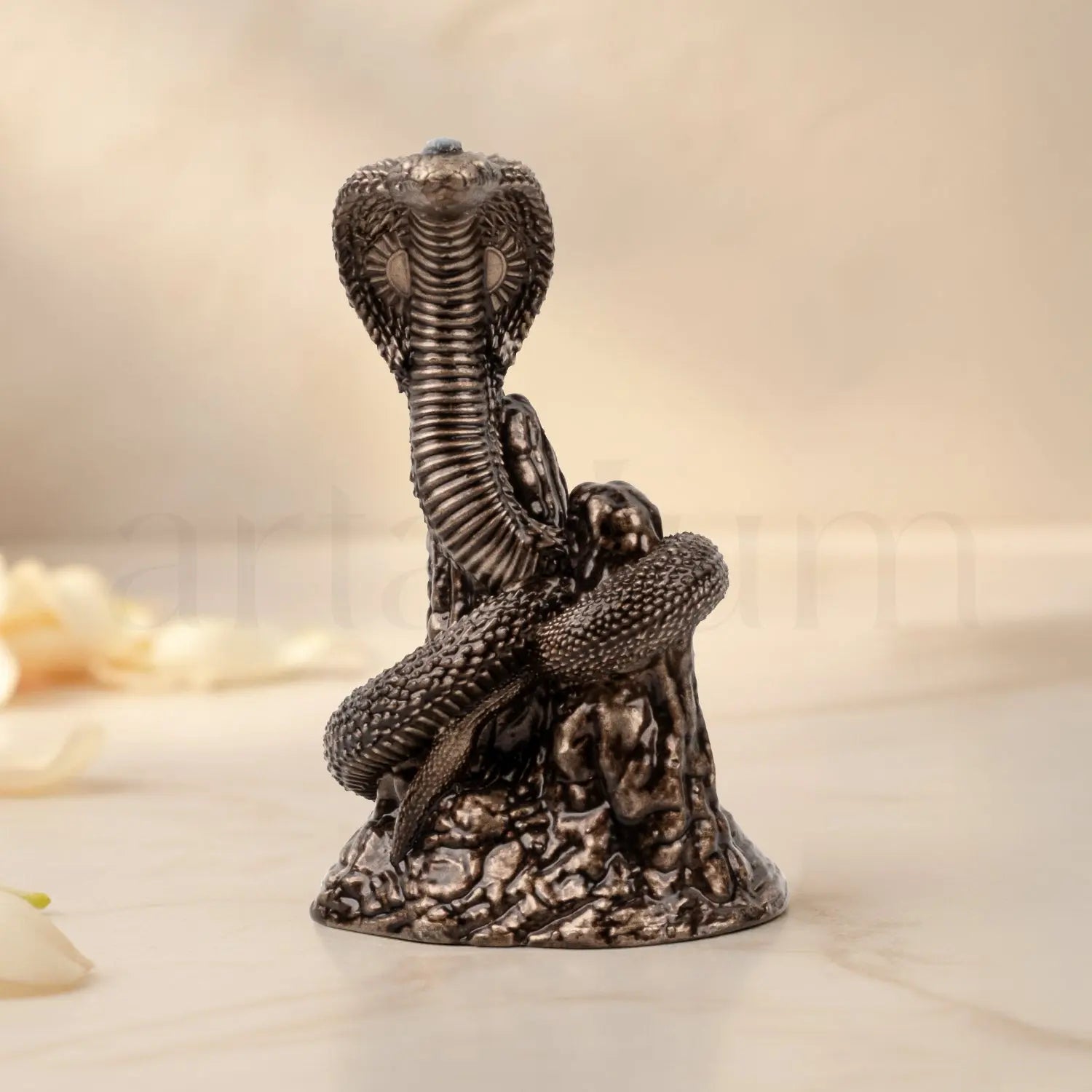 Naag Roop Gogaji Idol