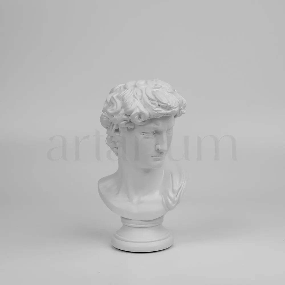 David’s Bust The Artarium
