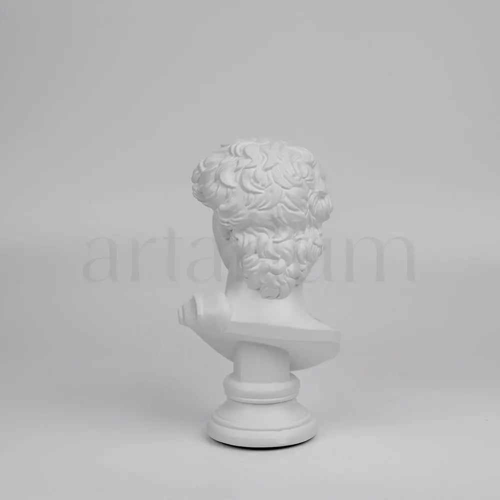 David’s Bust The Artarium