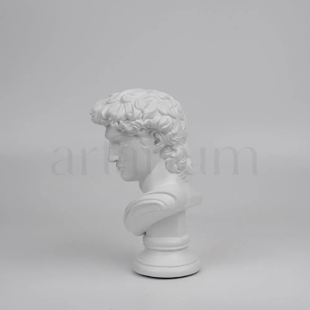 David’s Bust The Artarium