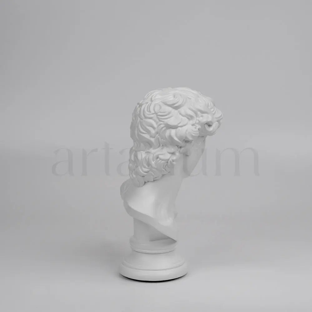 David’s Bust The Artarium