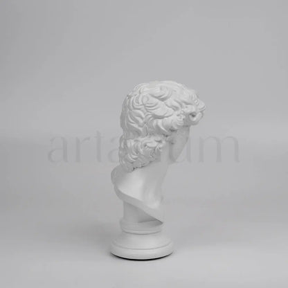 David’s Bust The Artarium