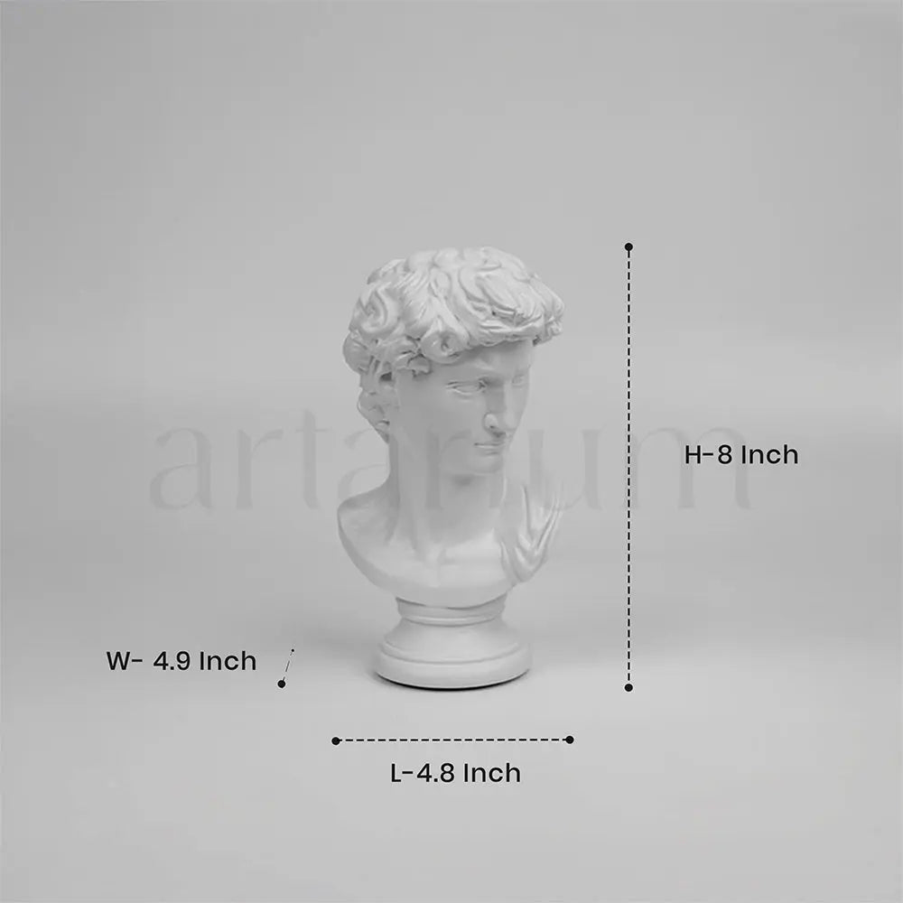 David’s Bust The Artarium