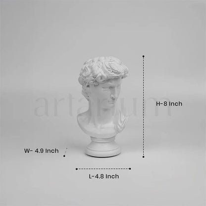 David’s Bust The Artarium