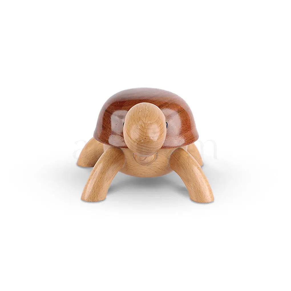 Wooden Tortoise The Artarium