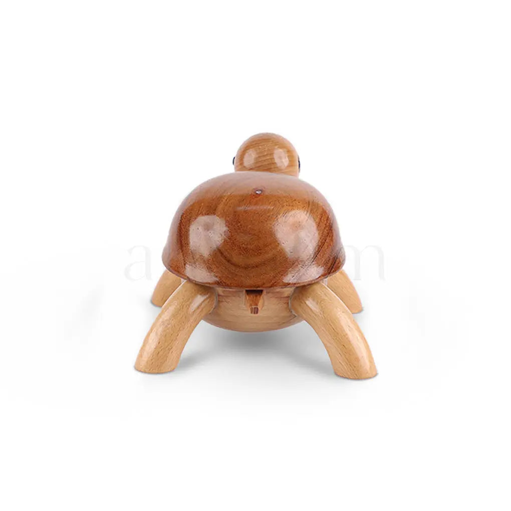 Wooden Tortoise The Artarium