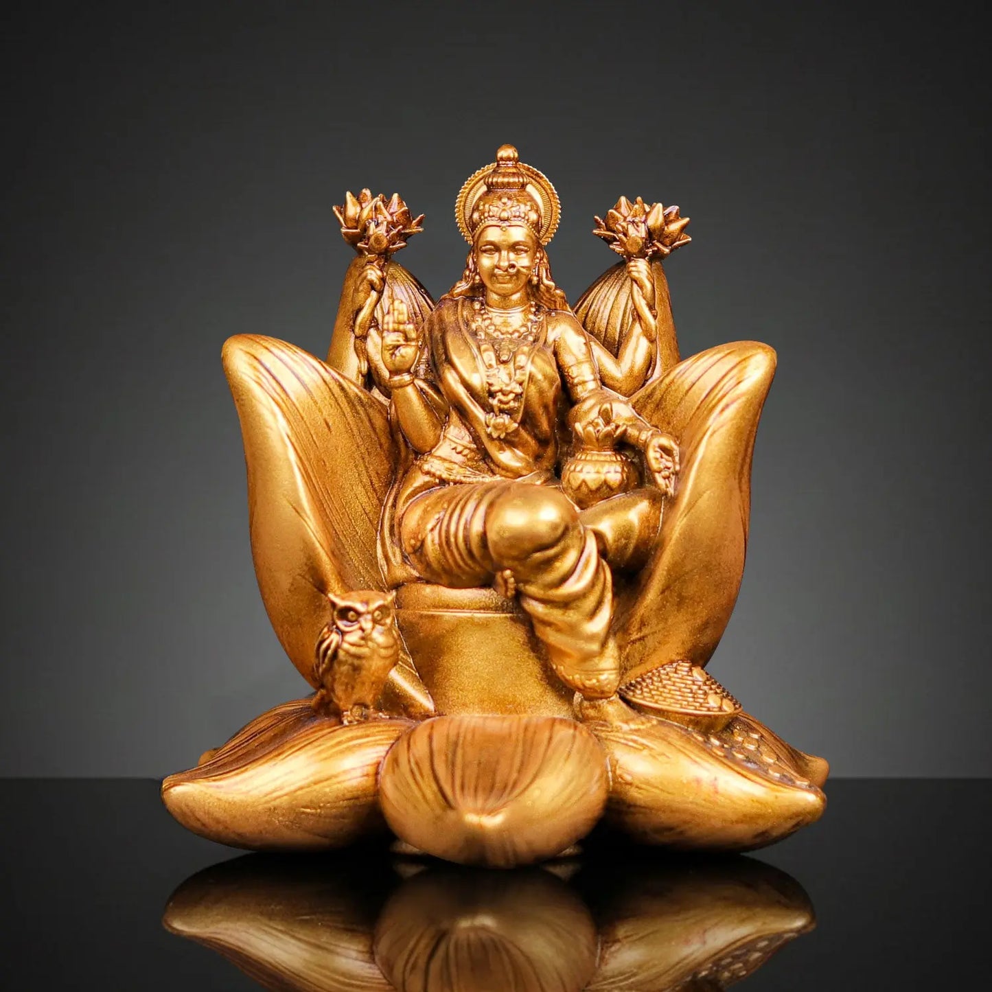 Padma Laxmi Car Dashboard