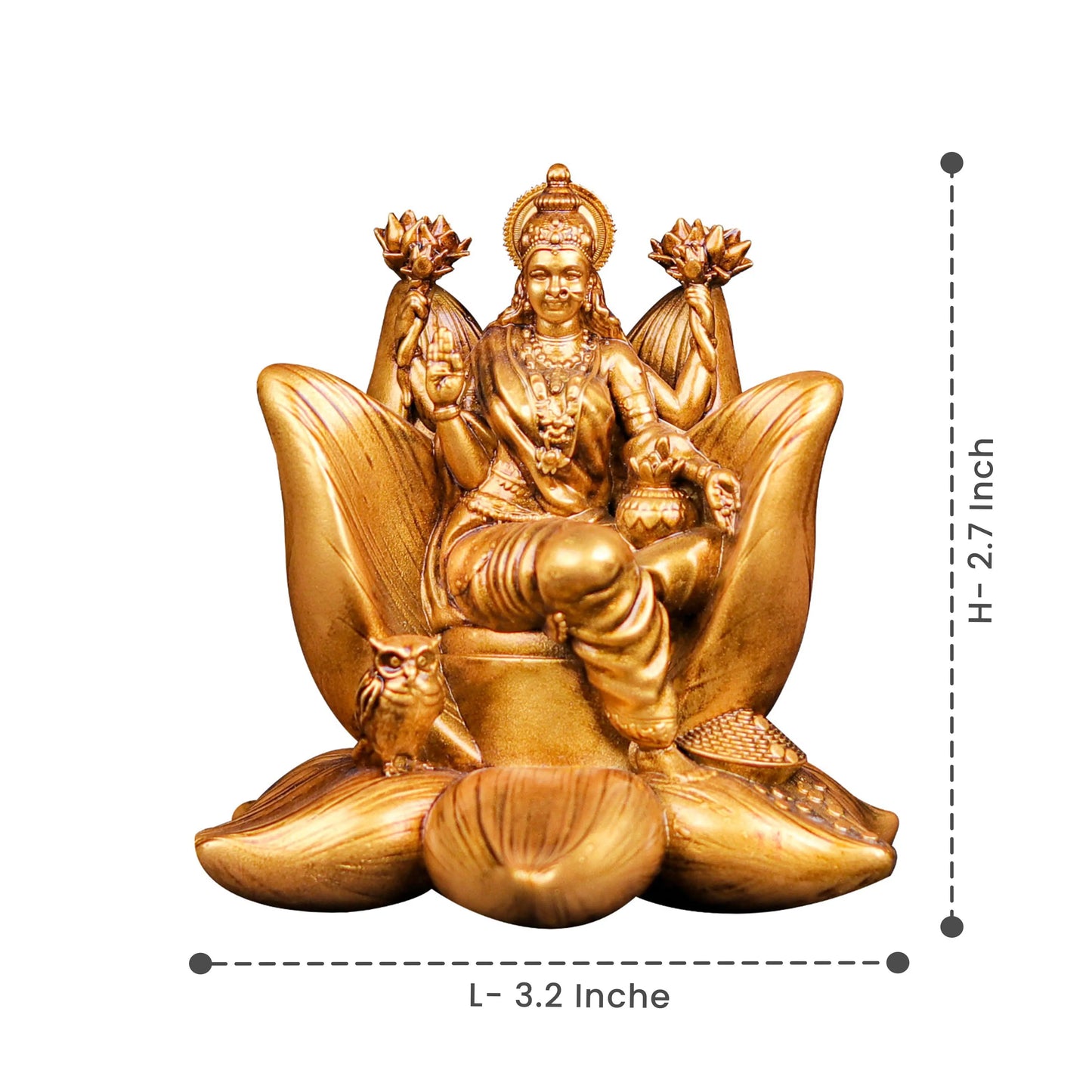 Padma Laxmi Car Dashboard