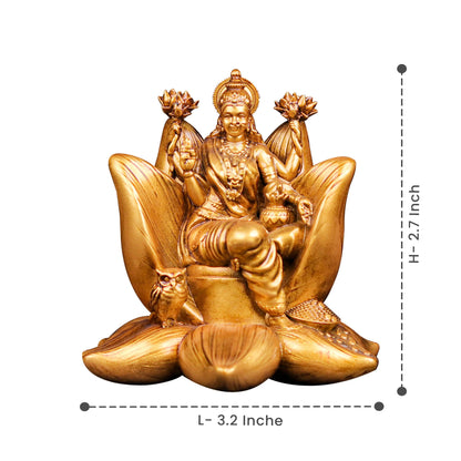 Padma Laxmi Car Dashboard