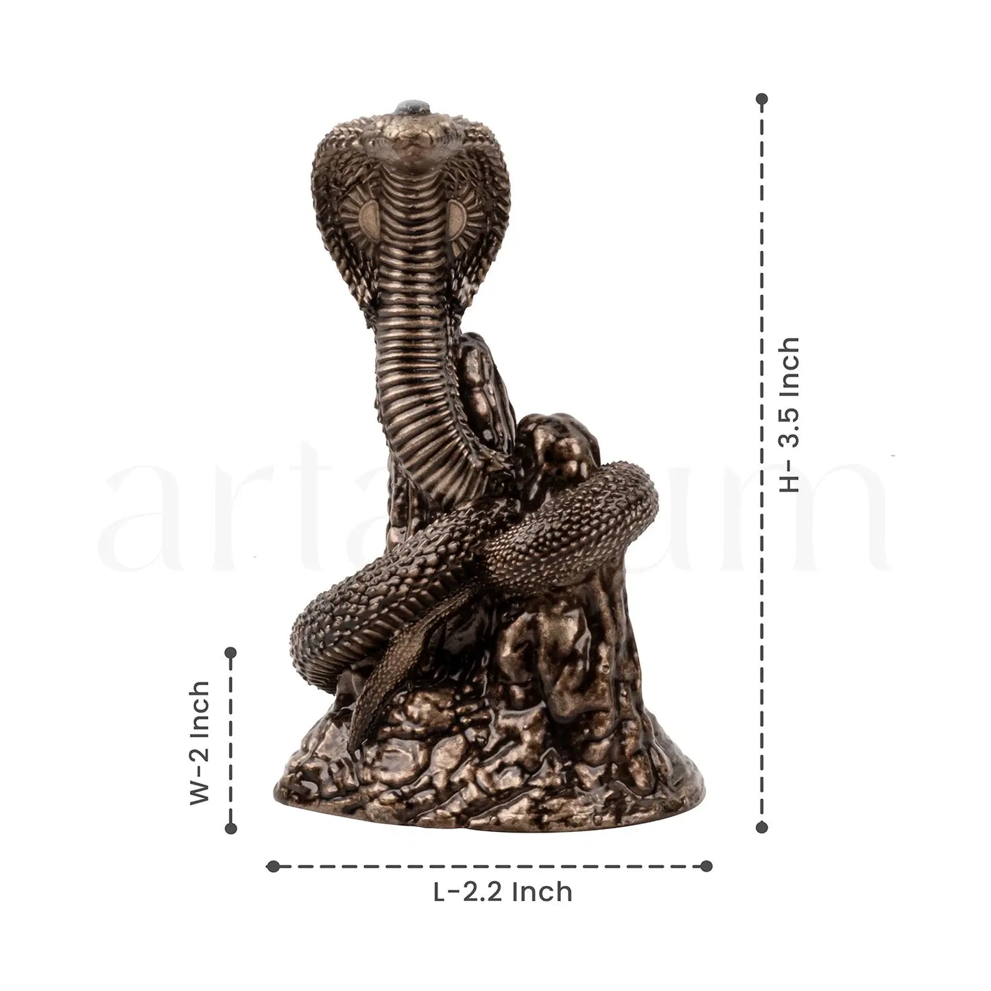 Naag Roop Gogaji Idol