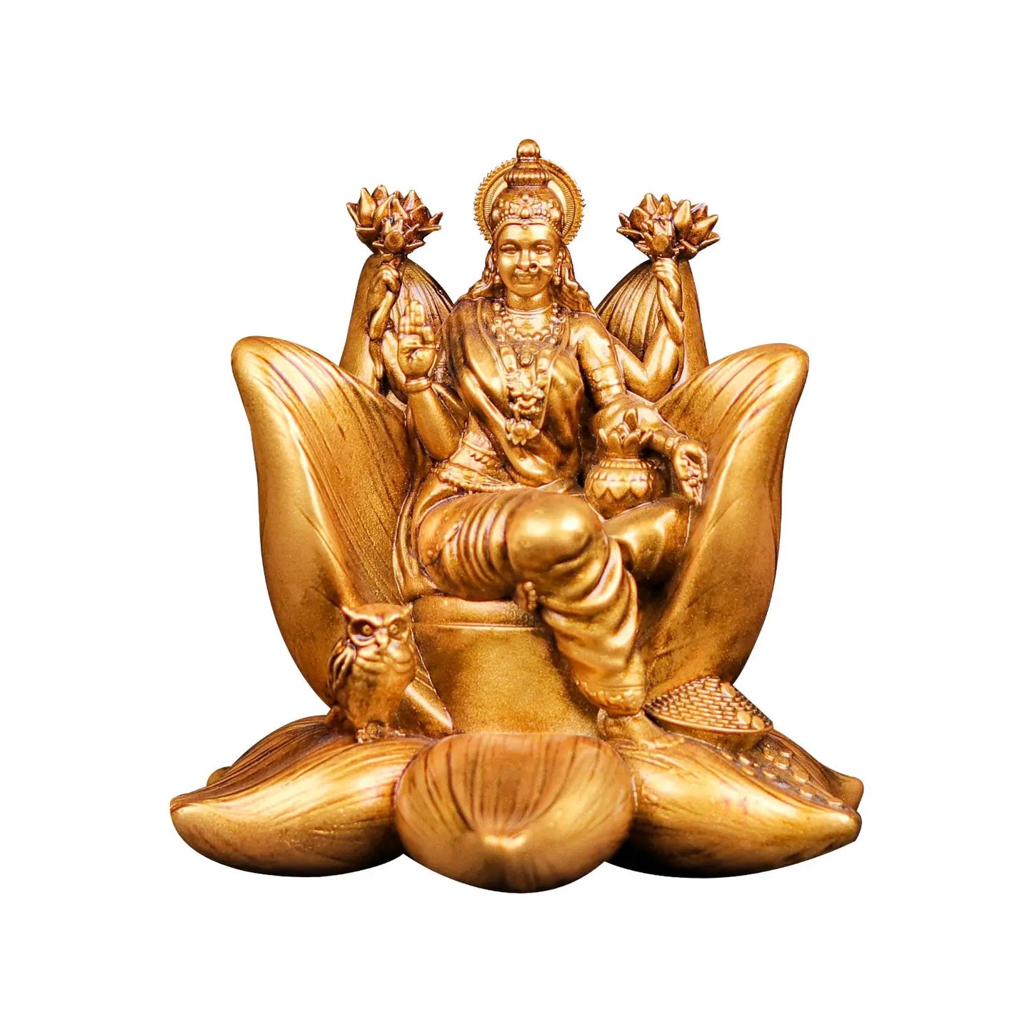 Padma Laxmi Car Dashboard