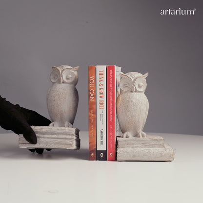 Twins of the Twilight - Owl Bookends Video