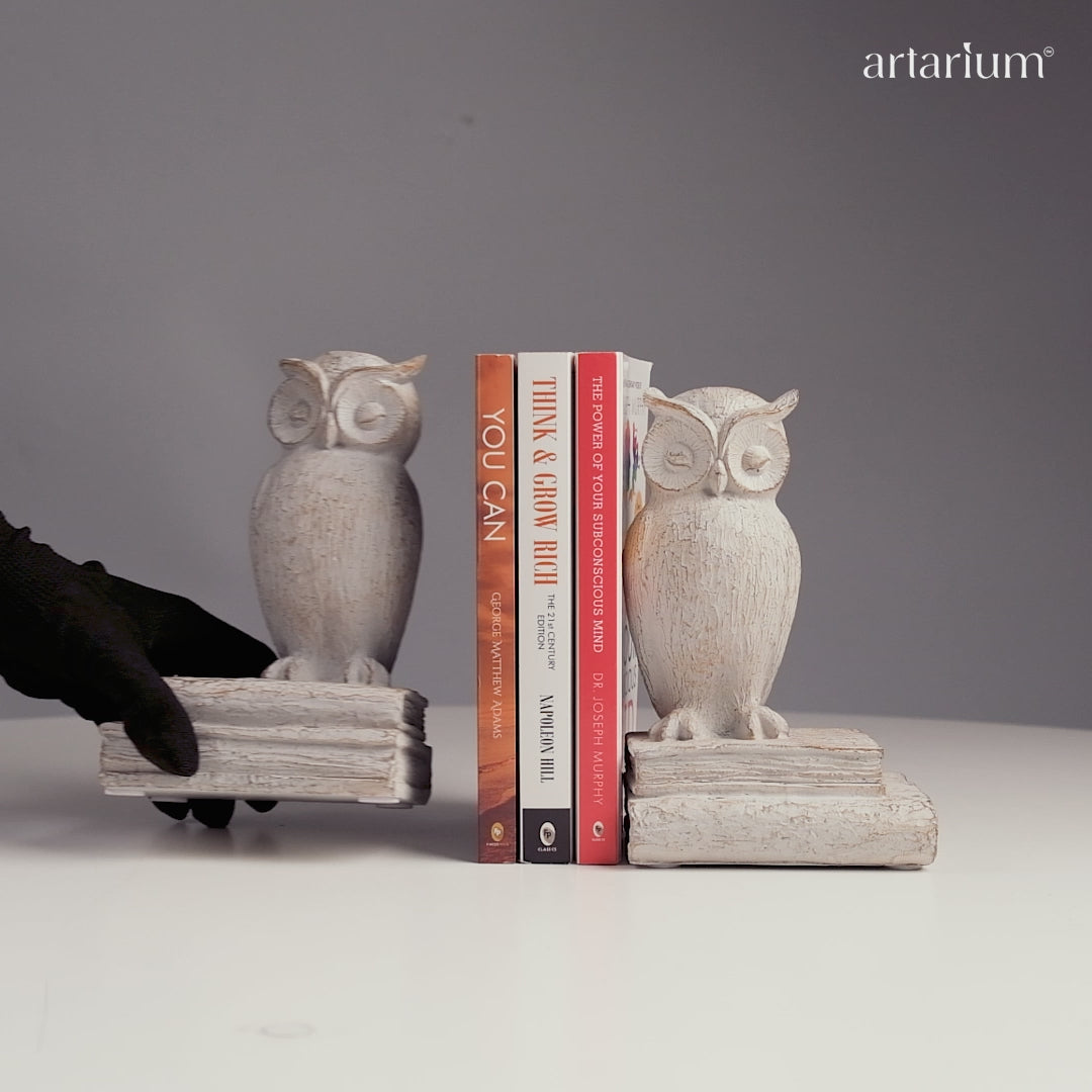 Twins of the Twilight - Owl Bookends Video