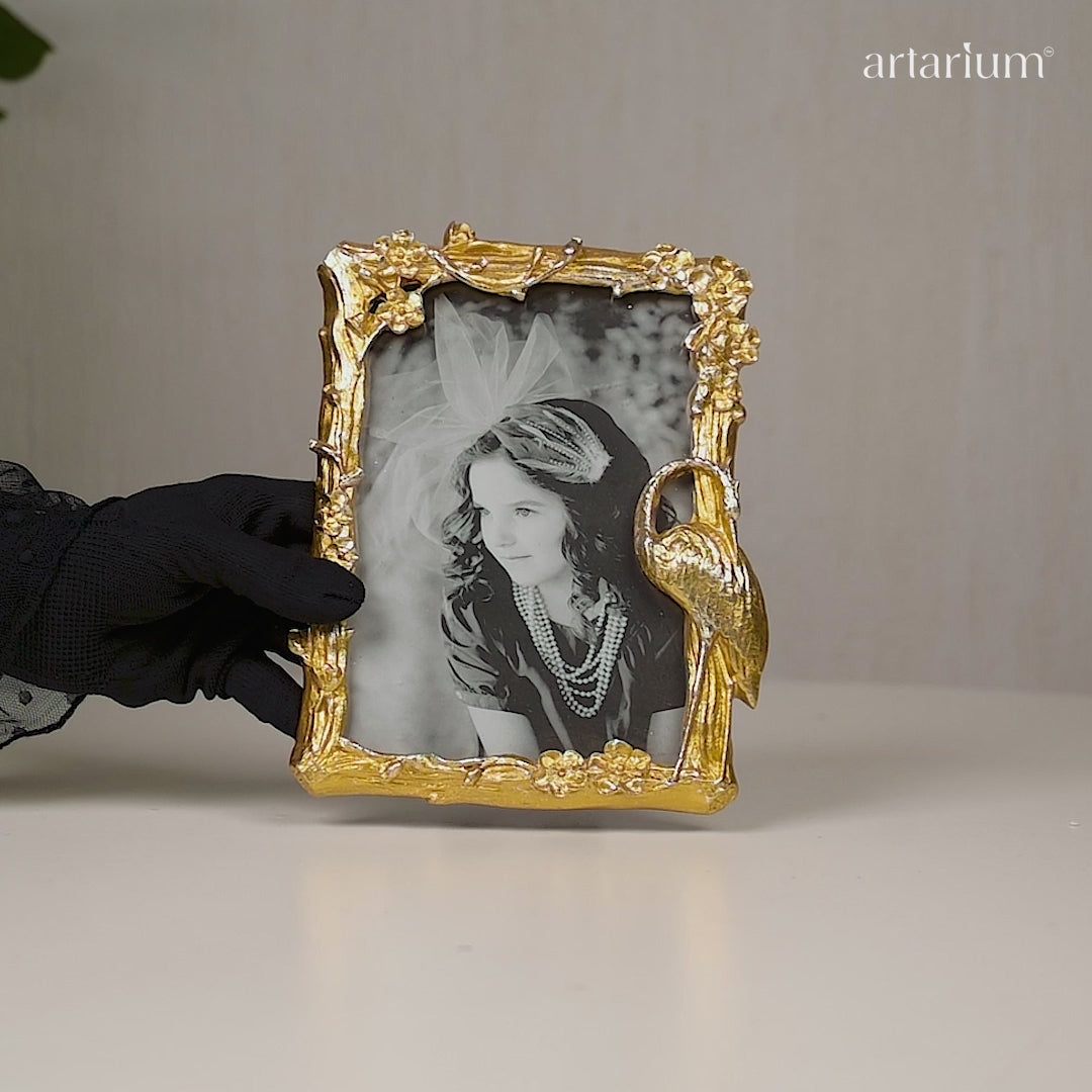 Crane of Fortune - Antique Bird Frame Video
