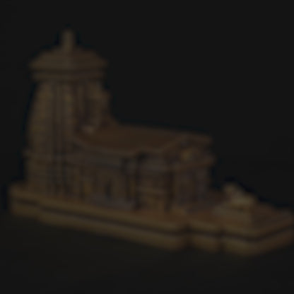 Kedarnath Temple Idol