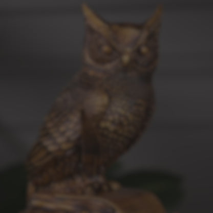 Owl of Wisdom