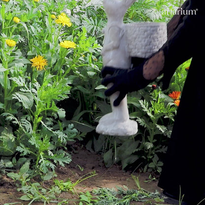Meadow Hopper - Bunny Planter