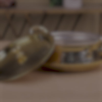 Brass Handi with Lid
