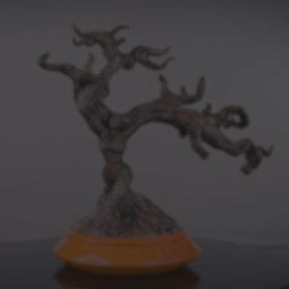 Bonsai Tree