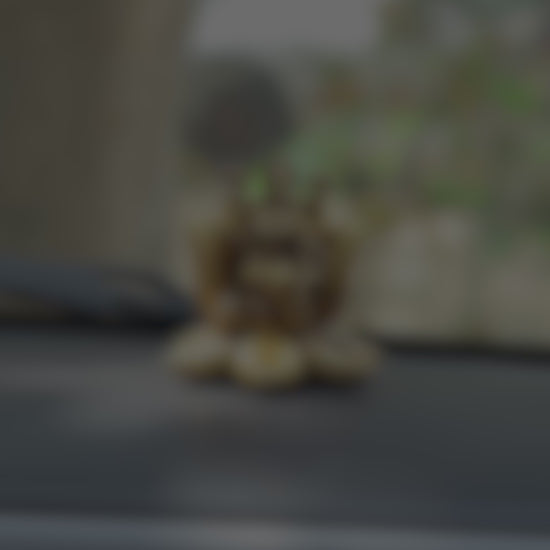 Padma Laxmi Car Dashboard