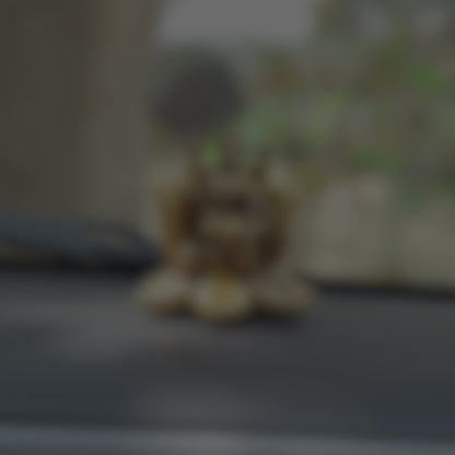 Padma Laxmi Car Dashboard