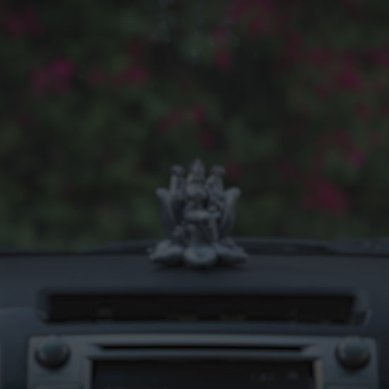 Padma Laxmi Car Dashboard