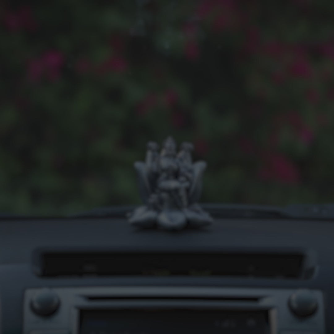 Padma Laxmi Car Dashboard
